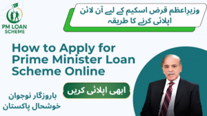How to Apply for Prime Minister Loan Scheme Online